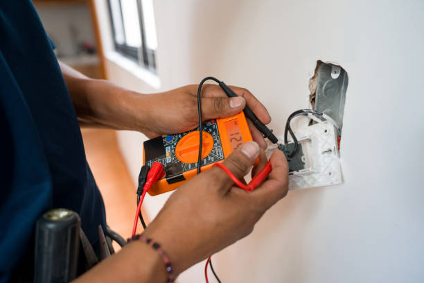 Best Electric Panel Repair  in Pulaski, NY